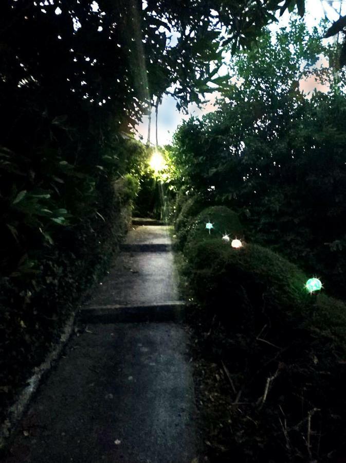 Dog Friendly Nancecliff Cottages 西卢港 外观 照片