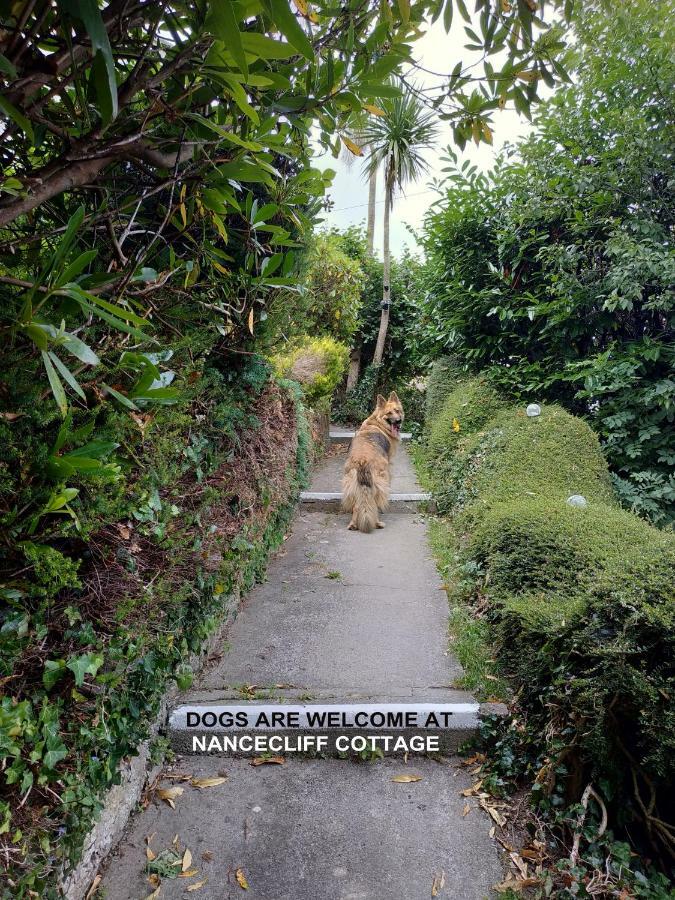 Dog Friendly Nancecliff Cottages 西卢港 外观 照片