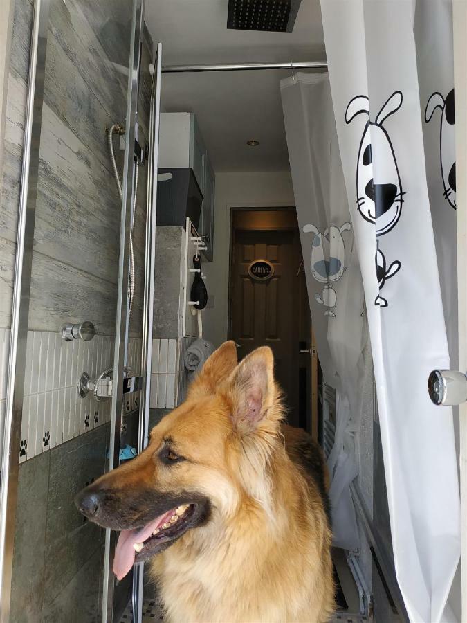 Dog Friendly Nancecliff Cottages 西卢港 外观 照片