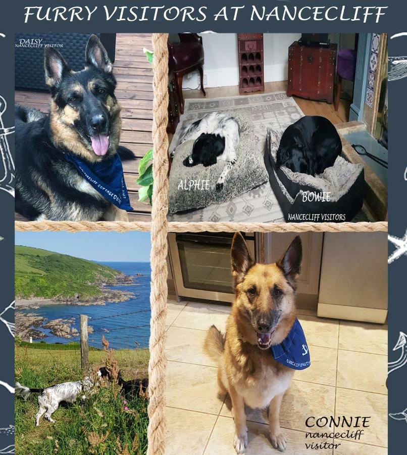Dog Friendly Nancecliff Cottages 西卢港 外观 照片