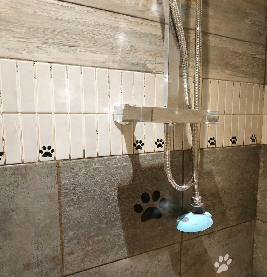 Dog Friendly Nancecliff Cottages 西卢港 外观 照片